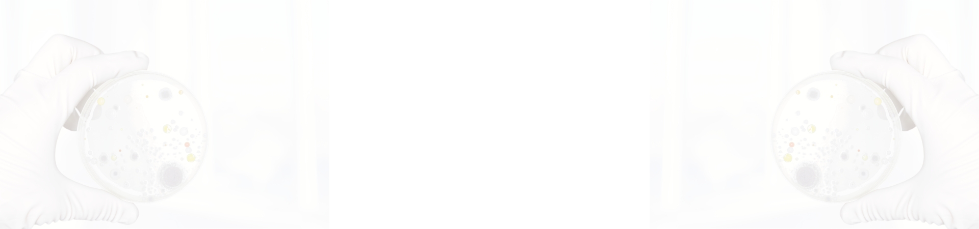 Mold & Asbestos Inspection Service